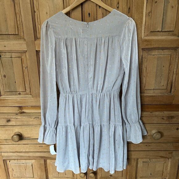 NWT The Impeccable Pig Small V-Neck Dress Metallic Silver Gold‎ Dash Long Sleeve - Picture 8 of 12